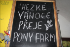 Vánoční besídka Pony Farm - 3.png