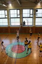 IMG_8233.jpg