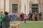 IMG_5888a.jpg