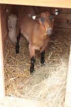 IMG_5901a.jpg