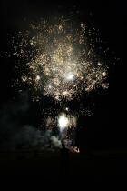 IMG_1230.jpg