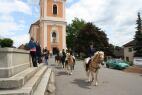IMG_1266.jpg