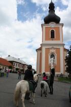IMG_1284.jpg