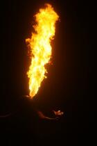 IMG_1194.jpg