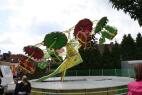 IMG_4023.jpg