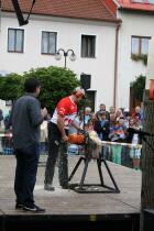 IMG_4118.jpg
