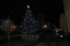 IMG_4565.jpg
