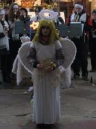 IMG_1979.jpg