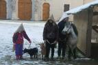 IMG_5683.jpg