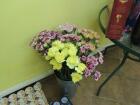DSCN4827.jpg