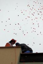 IMG_6239.jpg