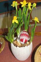 IMG_7341.jpg