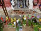 DSC02695.jpg