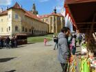 DSC02710.jpg