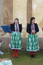 IMG_7686.jpg