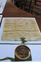 IMG_8175.jpg