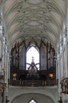 IMG_8301.jpg