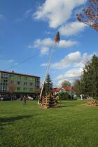 IMG_8544.jpg