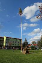 IMG_8545.jpg