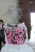 IMG_8295.jpg