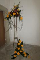 IMG_8325.jpg