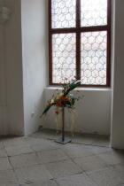 IMG_8332.jpg