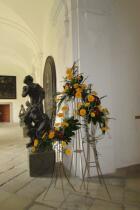 IMG_8337.jpg