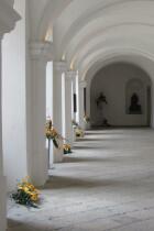 IMG_8352.jpg