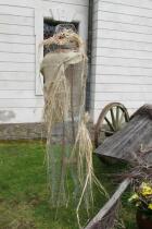 IMG_8401.jpg