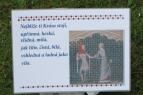 IMG_8406.jpg