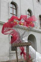 IMG_8414.jpg