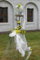 IMG_8425.jpg