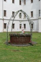 IMG_8430.jpg