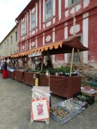 DSC02849.jpg