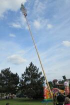 IMG_9916.jpg