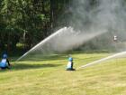 DSCN6739.jpg