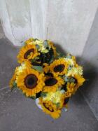 IMG_1107.jpg