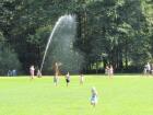 IMG_3507.jpg