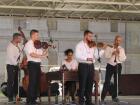 IMG_3737.jpg