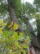 IMG_3495.JPG