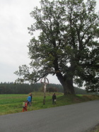 IMG_3481.JPG