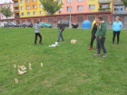 IMG_3530.JPG