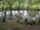 IMG_3464.JPG