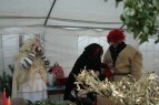 IMG_9493.JPG