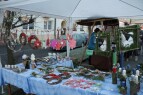 IMG_9500.JPG