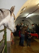 besídka na ponyfarmě 2016 029.JPG