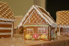 DSC_0766.JPG