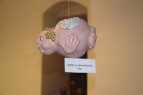 DSC_2182.JPG