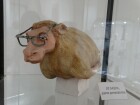 DSC02344.JPG