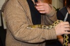 DSC_2494.JPG
